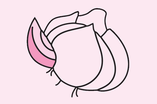 掰開的大蒜簡筆畫