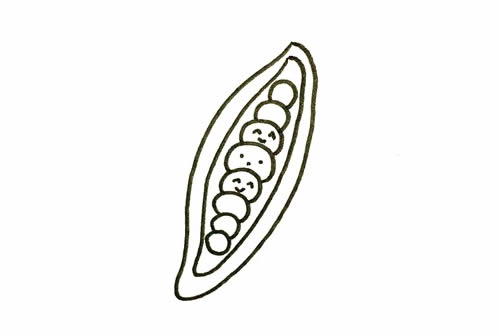 豌豆簡(jiǎn)筆畫步驟教程