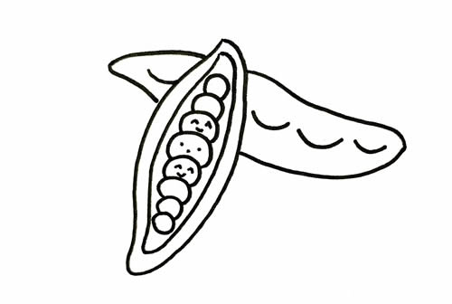 豌豆簡(jiǎn)筆畫步驟教程