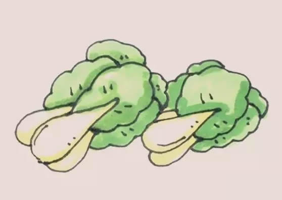 兩顆油菜簡筆畫步驟