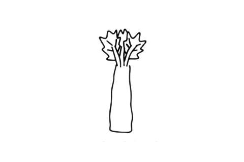 萵筍簡(jiǎn)筆畫簡(jiǎn)單畫法