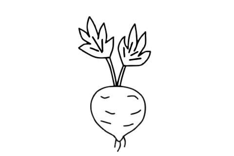 甜菜簡筆畫圖片大全