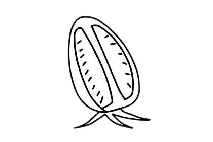 番茄簡筆畫圖片大全