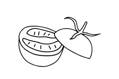 番茄簡筆畫圖片大全