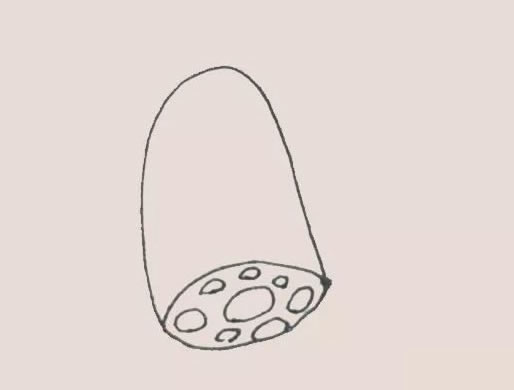 可愛(ài)的蓮藕簡(jiǎn)筆畫(huà)