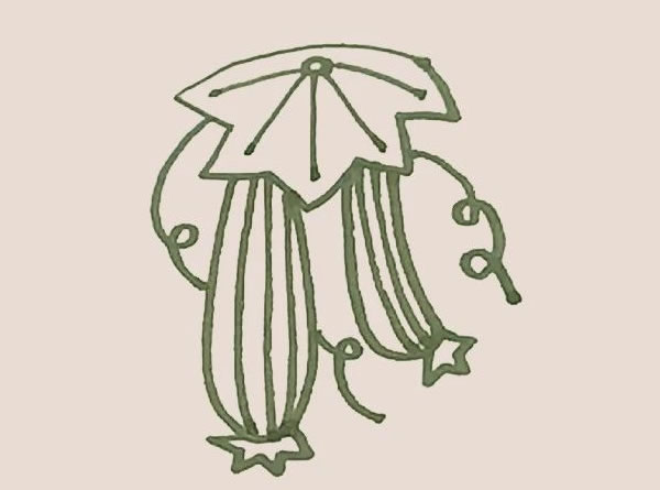 絲瓜簡筆畫的畫法