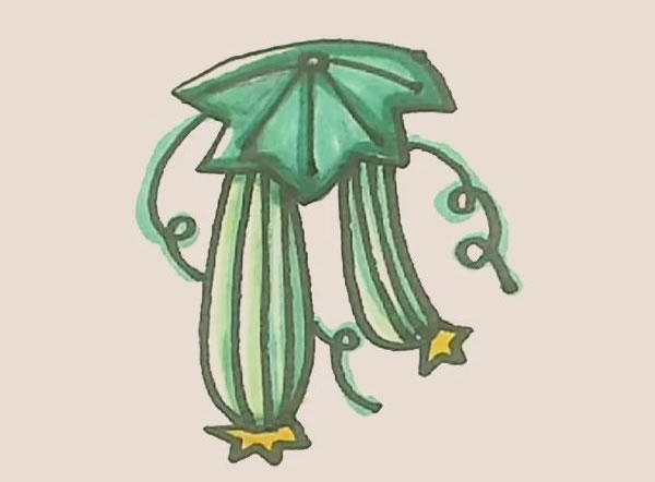 絲瓜簡筆畫的畫法