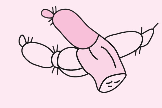 四張蓮藕簡筆畫
