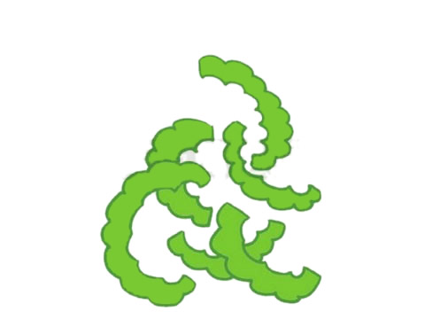 分享一組苦瓜簡筆畫
