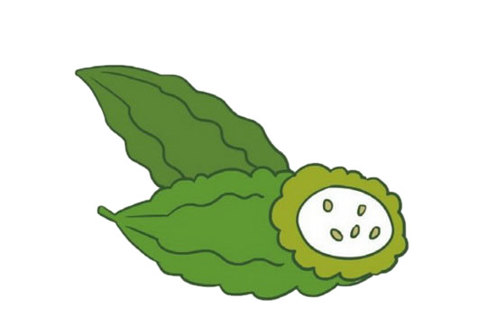分享一組苦瓜簡筆畫