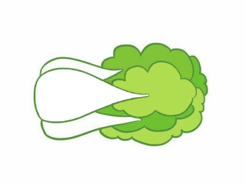 一組白菜簡筆畫大全