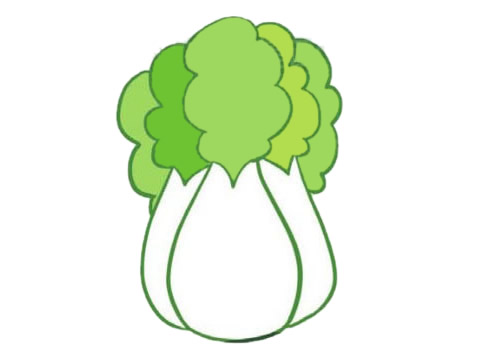 一組白菜簡筆畫大全