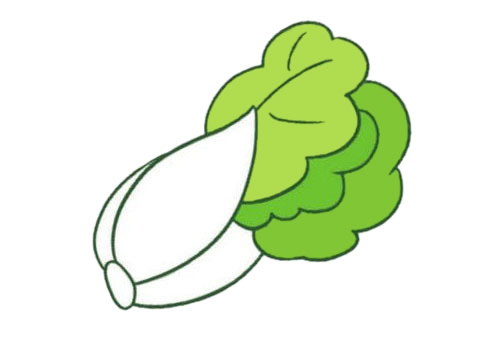 一組白菜簡筆畫大全
