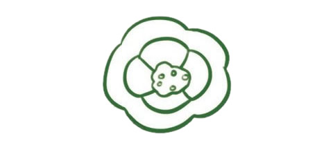 帶顏色的青椒簡筆畫