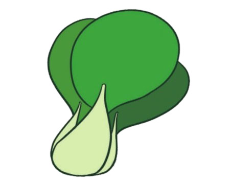 一組油菜簡筆畫大全