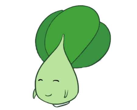 一組油菜簡筆畫大全