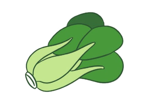 一組油菜簡筆畫大全