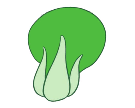 一組油菜簡筆畫大全