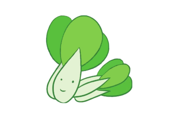 油菜怎么畫簡單又好看