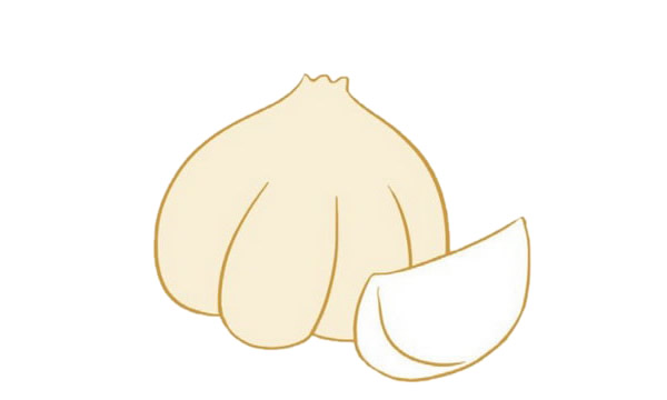 大蒜簡筆畫圖片大全