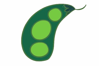 一組豌豆簡筆畫圖片大全