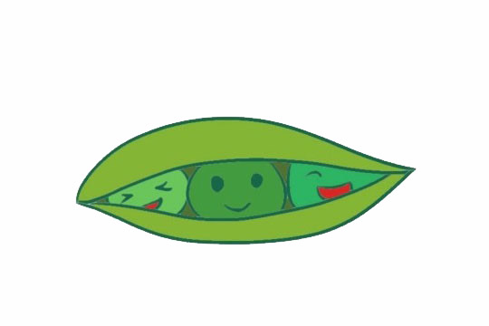 一組豌豆簡筆畫圖片大全