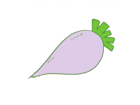 一組蘿卜簡筆畫圖片大全