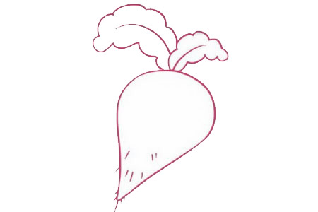 蘿卜怎么畫簡單又漂亮