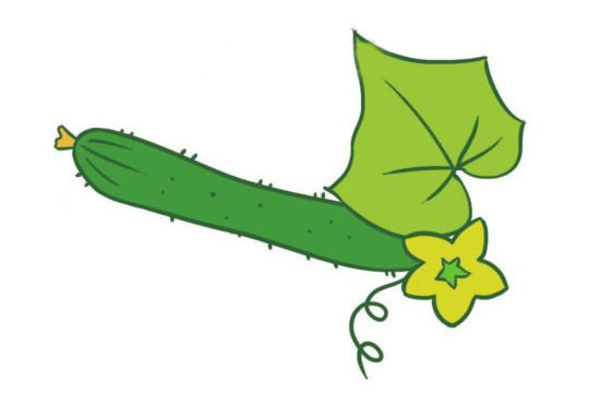 一組黃瓜簡(jiǎn)筆畫(huà)圖片大全