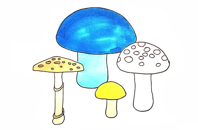 帶顏色的蘑菇簡筆畫