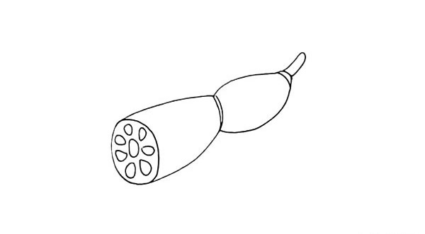 漂亮的蓮藕簡筆畫