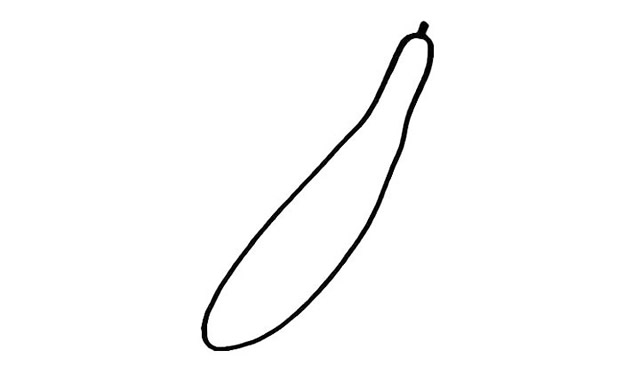 兩根黃瓜簡(jiǎn)筆畫步驟