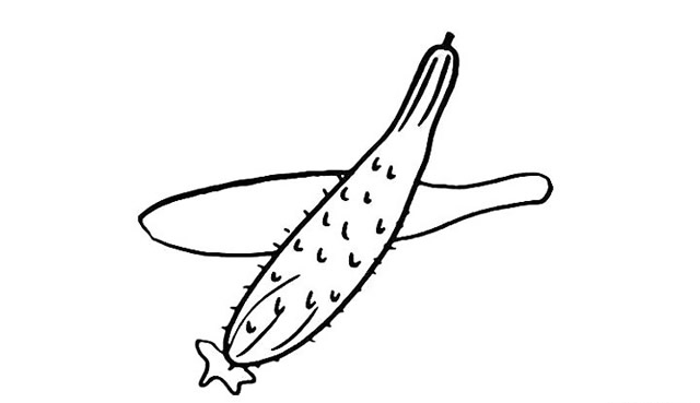 兩根黃瓜簡(jiǎn)筆畫步驟