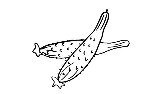 兩根黃瓜簡(jiǎn)筆畫步驟