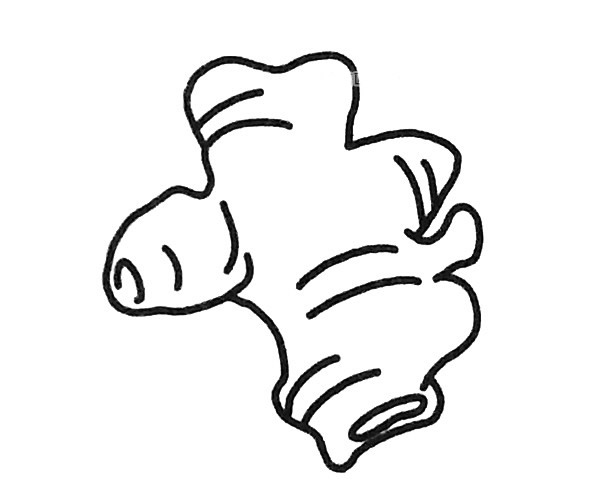 6款生姜兒童簡筆畫