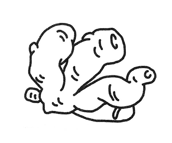 6款生姜兒童簡筆畫