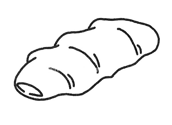 6款生姜兒童簡筆畫
