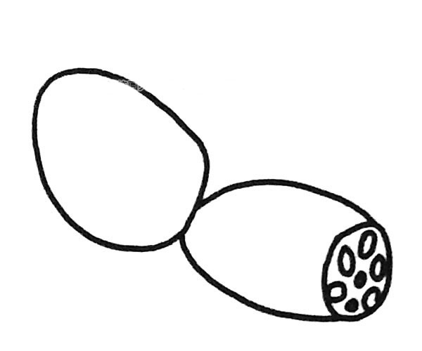 6張蓮藕簡筆畫圖片大全