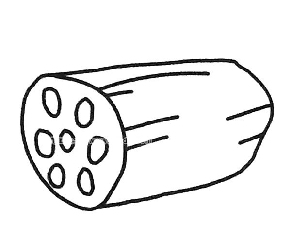6張蓮藕簡筆畫圖片大全
