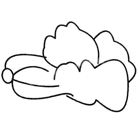 白菜簡筆畫畫法