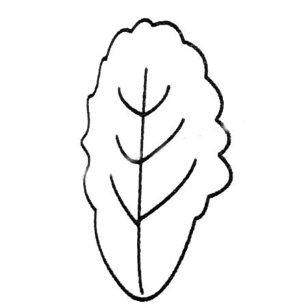 白菜簡筆畫畫法