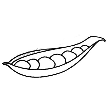 豌豆簡筆畫大全