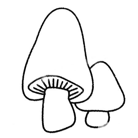 4款蘑菇兒童簡筆畫