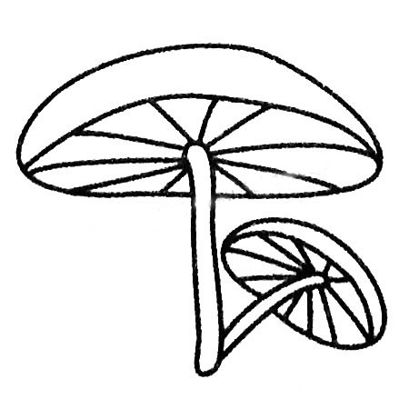 一組各不相同的蘑菇簡筆畫
