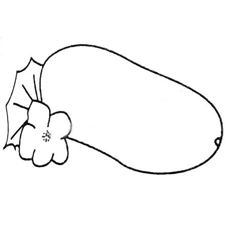 冬瓜簡(jiǎn)筆畫(huà)圖片大全