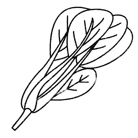 菠菜簡筆畫圖片大全