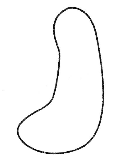 黃瓜簡筆畫的畫法