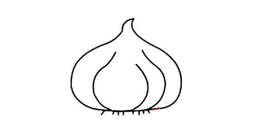 一組大蒜簡筆畫大全