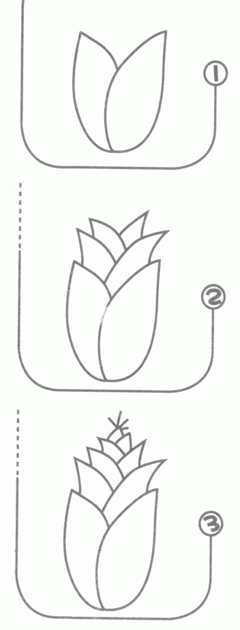 竹筍簡筆畫分解步驟