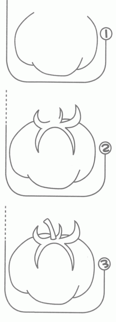 西紅柿簡筆畫分解步驟